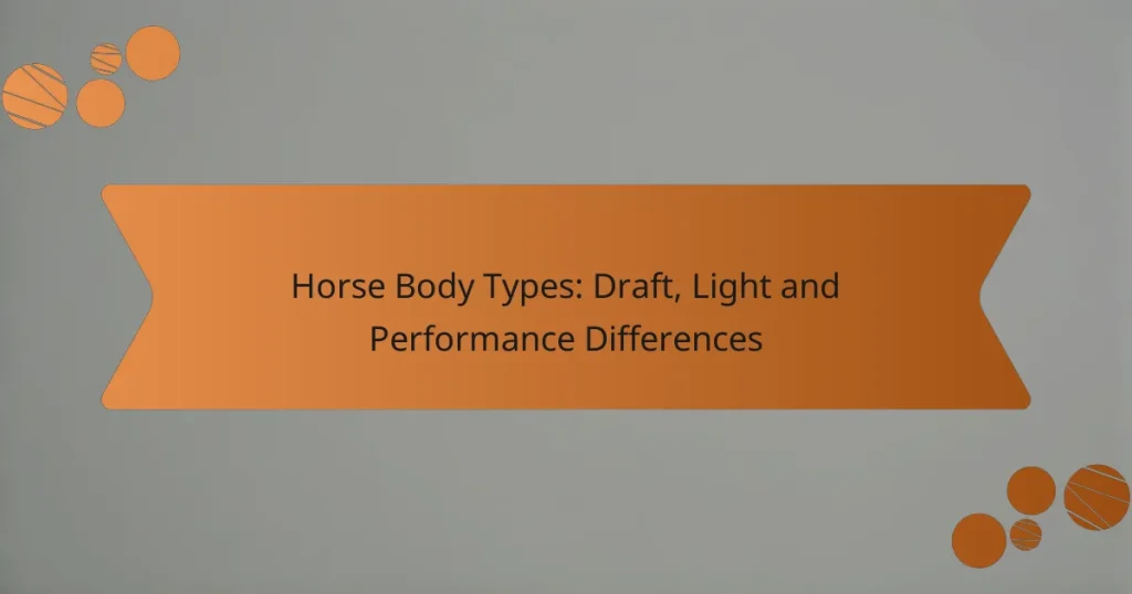 Horse Body Types: Draft, Light and Performance Differences