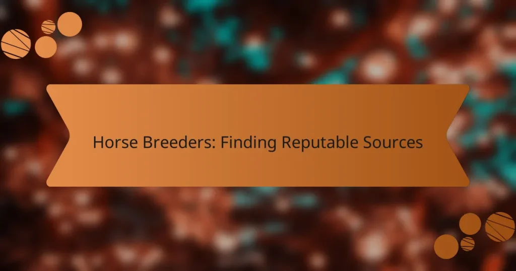 Horse Breeders: Finding Reputable Sources