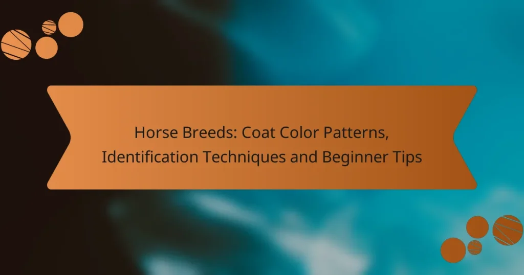 Horse Breeds: Coat Color Patterns, Identification Techniques and Beginner Tips