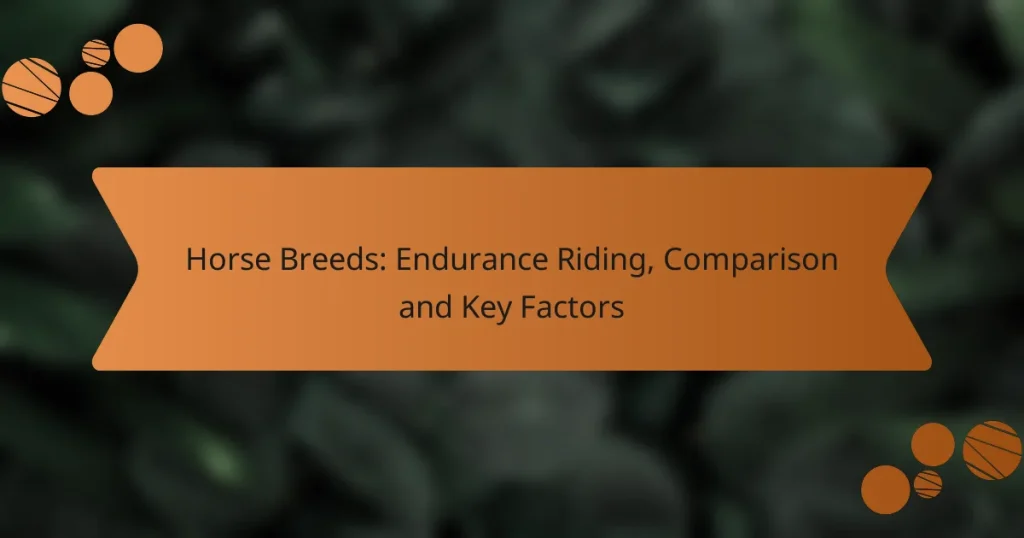 Horse Breeds: Endurance Riding, Comparison and Key Factors