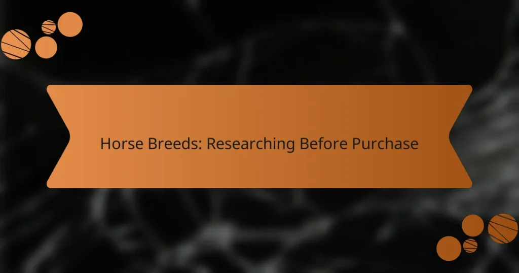 Horse Breeds: Researching Before Purchase