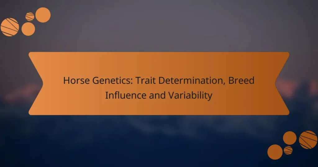Horse Genetics: Trait Determination, Breed Influence and Variability
