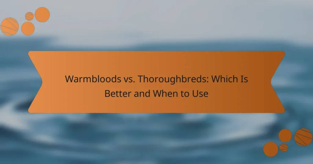 Warmbloods vs. Thoroughbreds: Which Is Better and When to Use