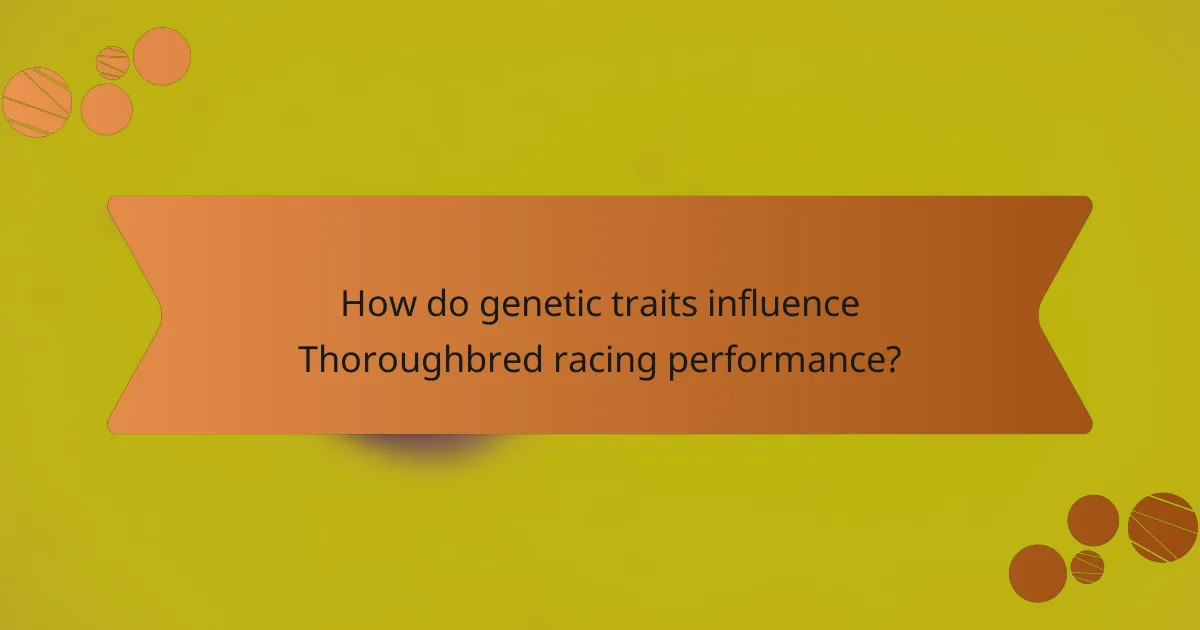 How do genetic traits influence Thoroughbred racing performance?