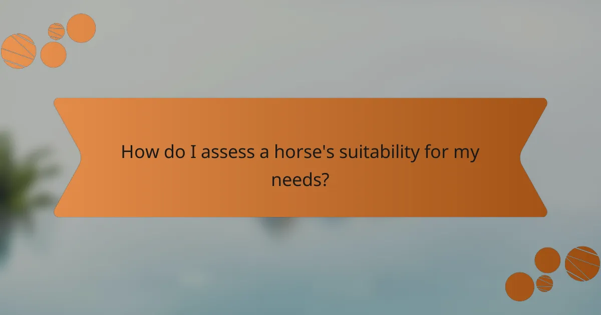 How do I assess a horse's suitability for my needs?