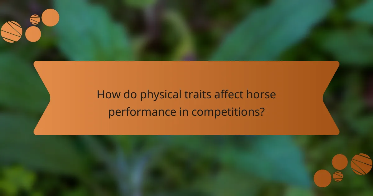 How do physical traits affect horse performance in competitions?