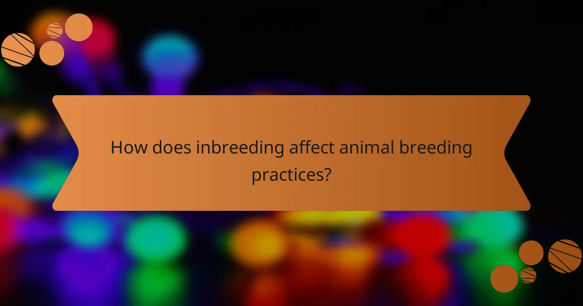 How does inbreeding affect animal breeding practices?