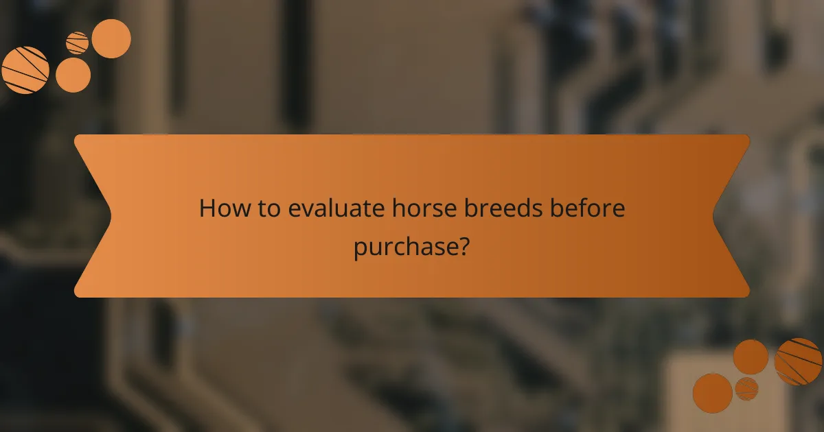 How to evaluate horse breeds before purchase?