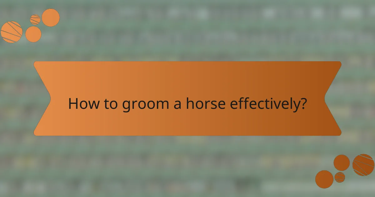 How to groom a horse effectively?