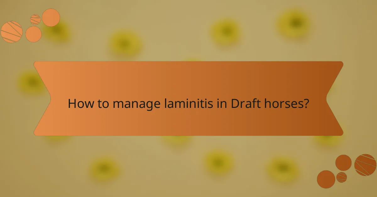 How to manage laminitis in Draft horses?
