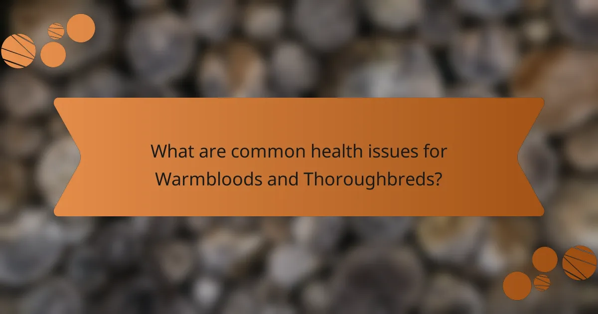 What are common health issues for Warmbloods and Thoroughbreds?