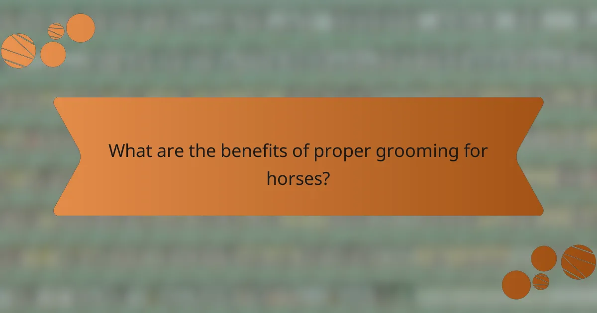 What are the benefits of proper grooming for horses?