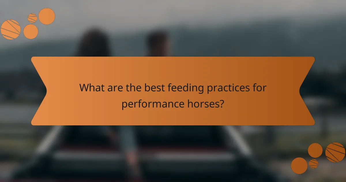 What are the best feeding practices for performance horses?