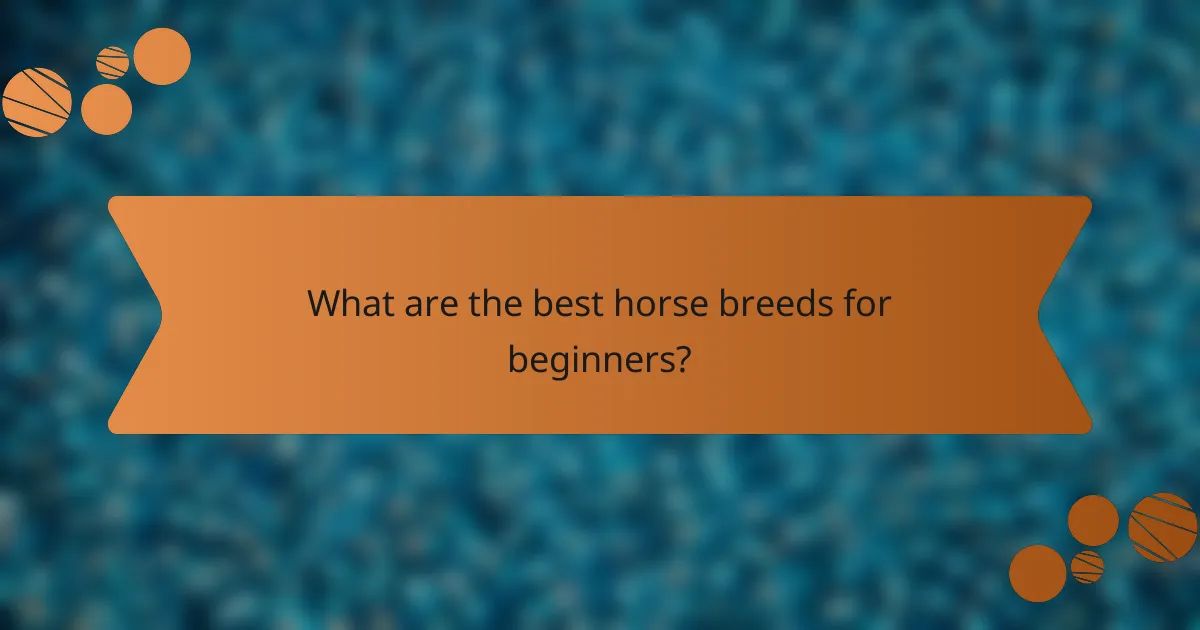 What are the best horse breeds for beginners?