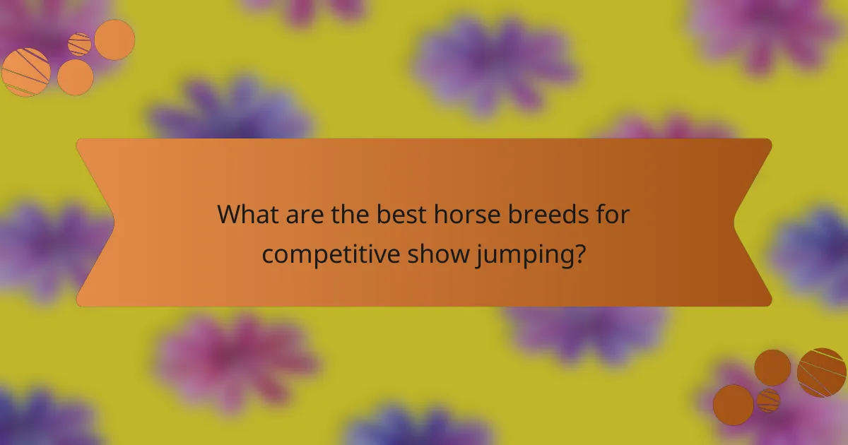 What are the best horse breeds for competitive show jumping?