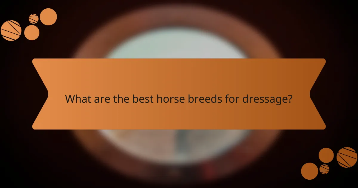 What are the best horse breeds for dressage?