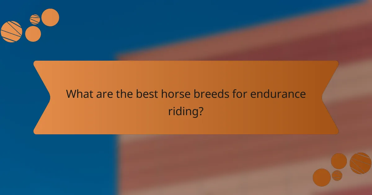 What are the best horse breeds for endurance riding?