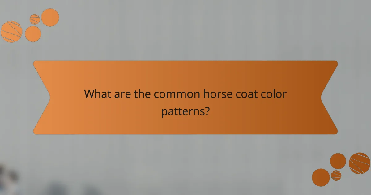 What are the common horse coat color patterns?