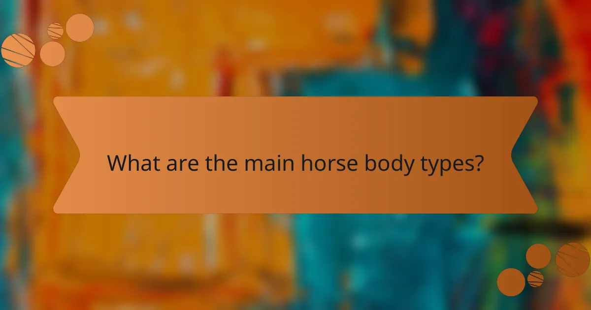 What are the main horse body types?