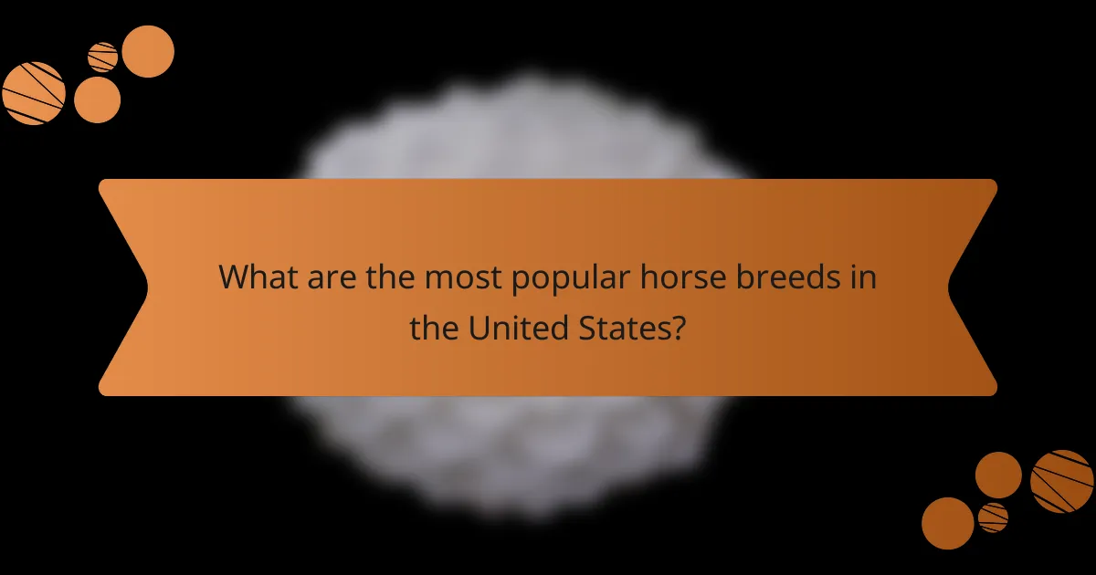 What are the most popular horse breeds in the United States?