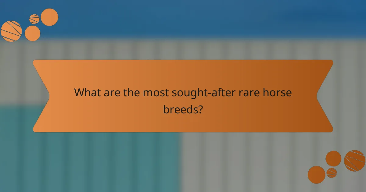 What are the most sought-after rare horse breeds?