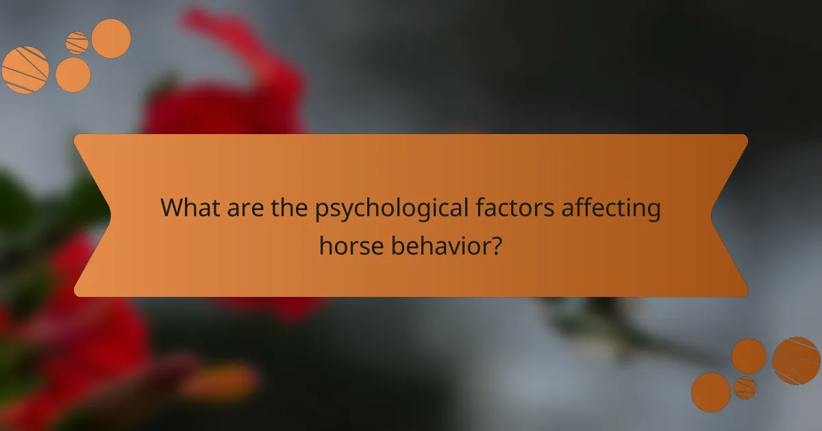 What are the psychological factors affecting horse behavior?
