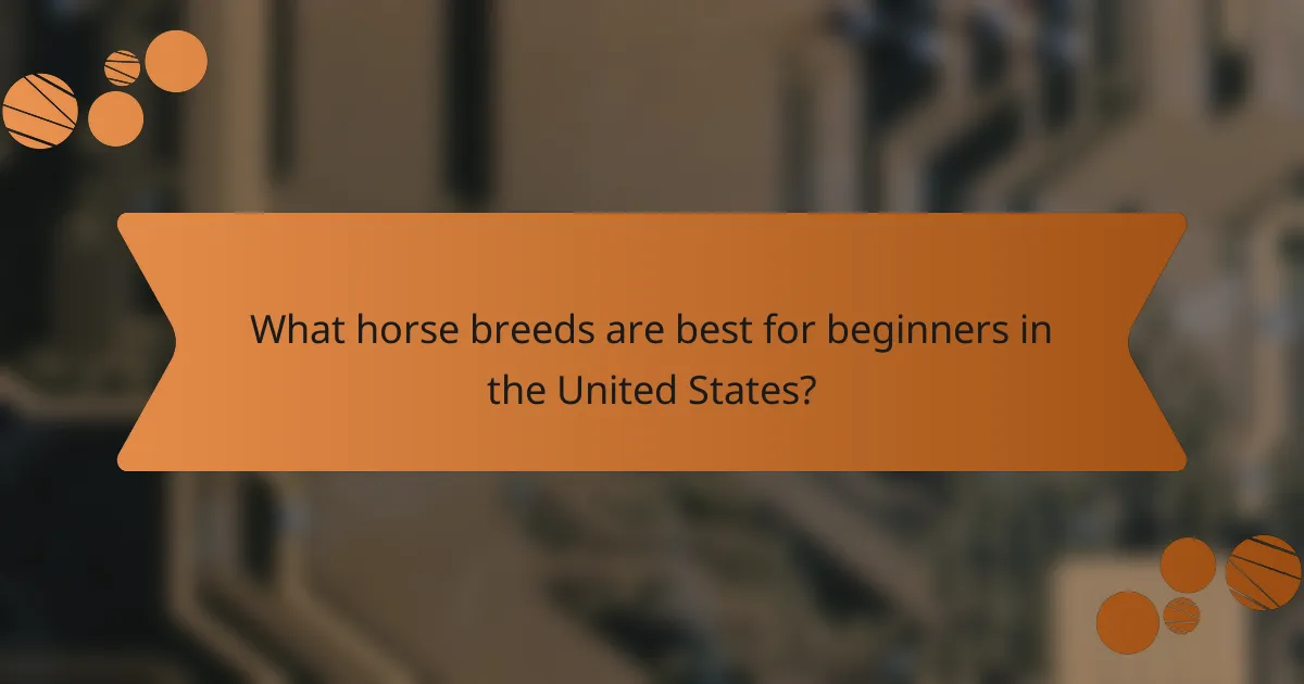 What horse breeds are best for beginners in the United States?