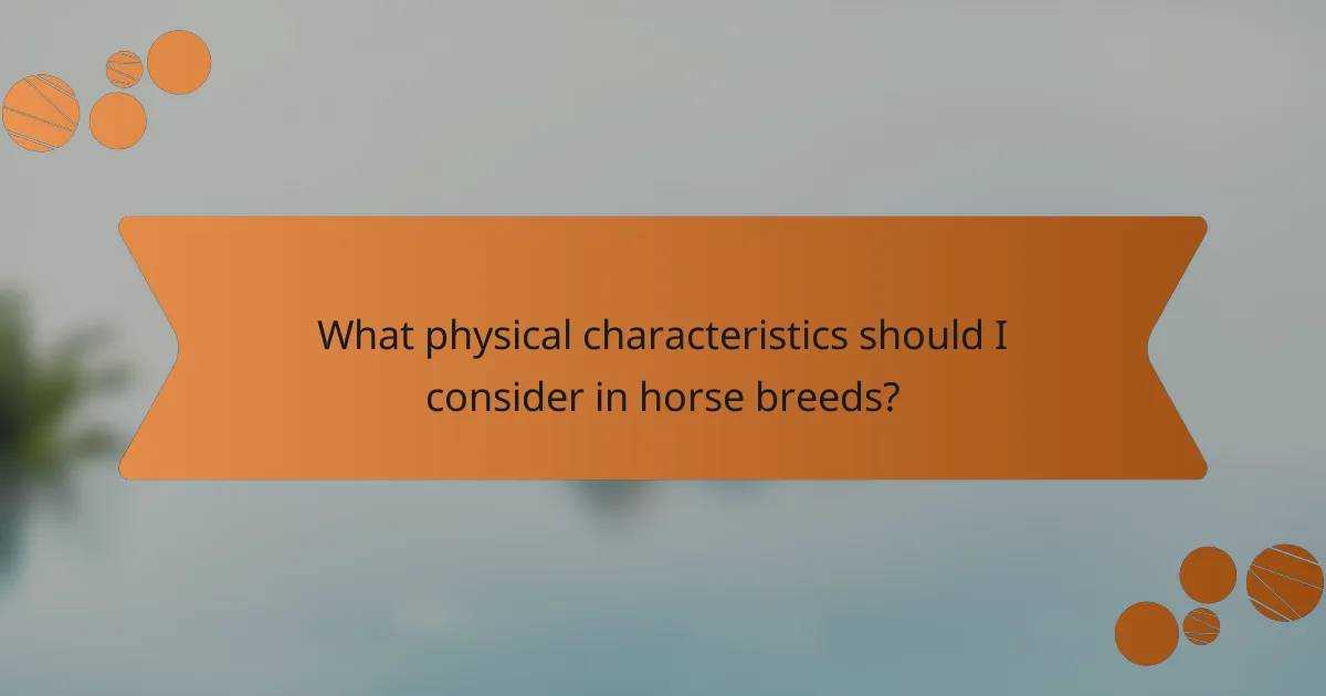 What physical characteristics should I consider in horse breeds?