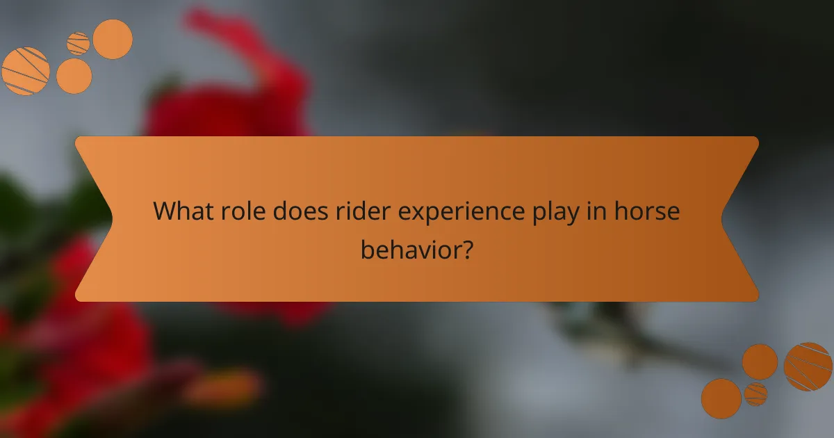 What role does rider experience play in horse behavior?