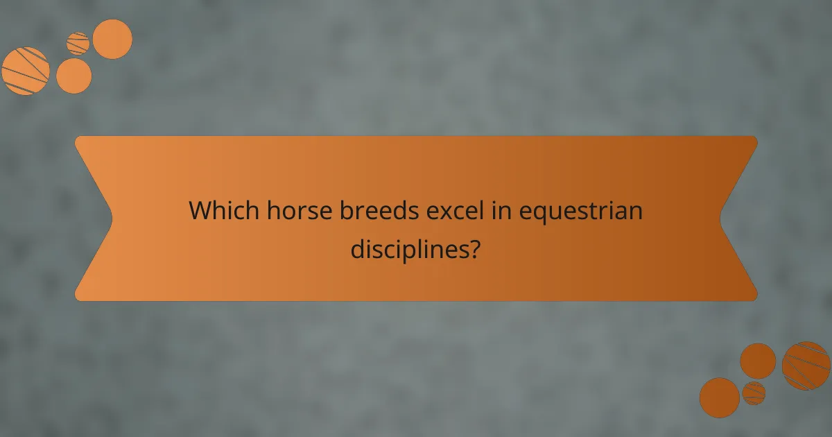 Which horse breeds excel in equestrian disciplines?