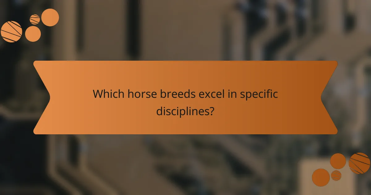 Which horse breeds excel in specific disciplines?
