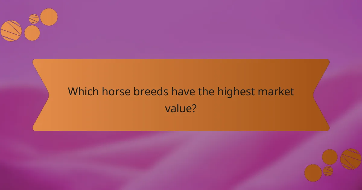 Which horse breeds have the highest market value?